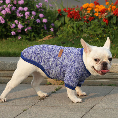 Verbeter de winterkleding van uw huisdier met Franse bulldogkleding van modeontwerper
