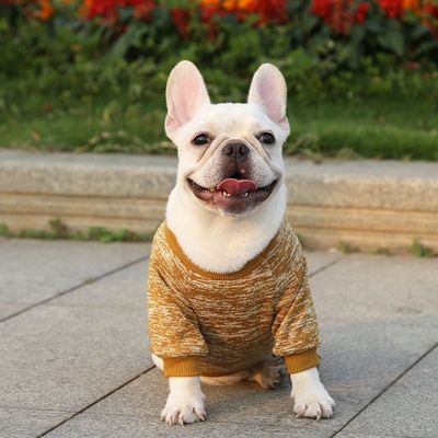 Comfortabel duurzaam huisdier hond kat T-shirts kleding accessoires type truien truien