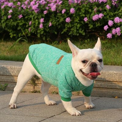 Comfortabel duurzaam huisdier hond kat T-shirts kleding accessoires type truien truien
