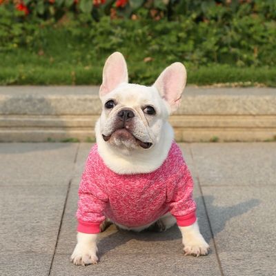 Comfortabel duurzaam huisdier hond kat T-shirts kleding accessoires type truien truien