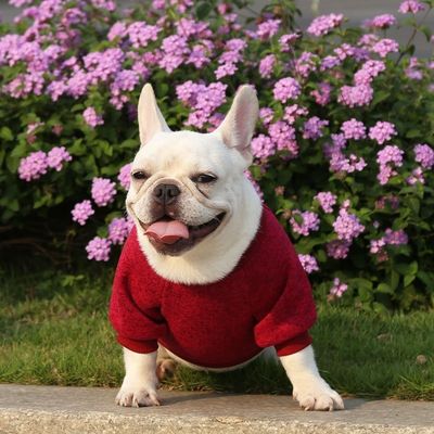 Comfortabel duurzaam huisdier hond kat T-shirts kleding accessoires type truien truien