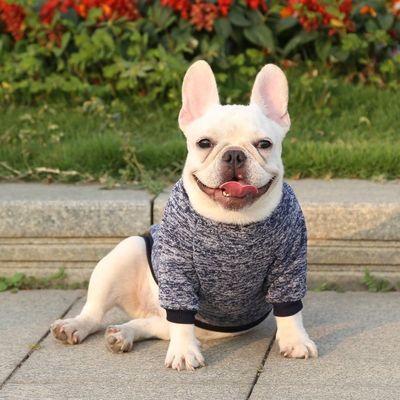 Polyester Herfst- en winterkleding voor huisdieren Dikke warme kleding voor kleine honden XS-XXL