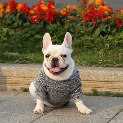 XS-XXL Verschillende kleuren Accessoires Moderne hondenkleding voor honden XS-XXL