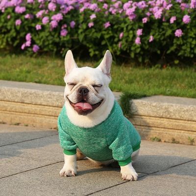 Gebreide puppy kleding massief patroon polyester materiaal voor uw viervoetige metgezel