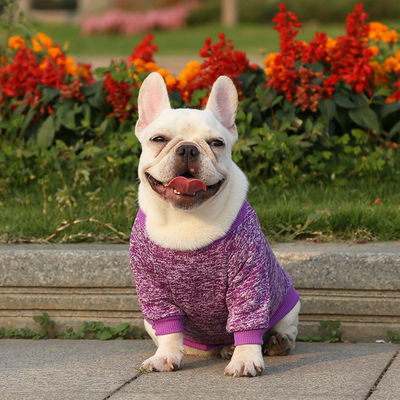 Gebreide puppy kleding massief patroon polyester materiaal voor uw viervoetige metgezel