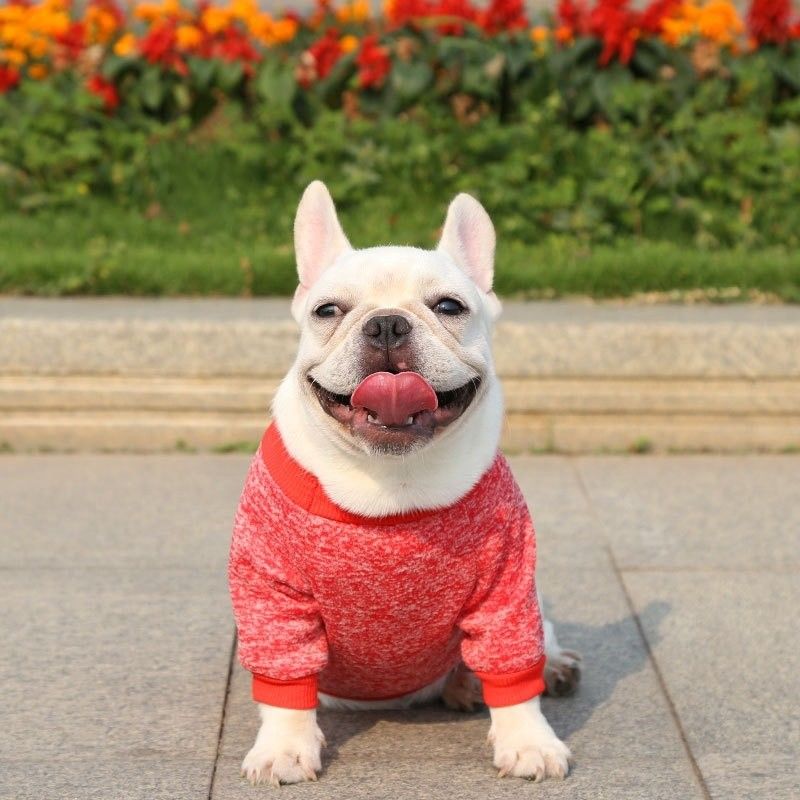 Polyester gebreide honden jumpers sweaters voor kleine honden luxe kleding accessoire type