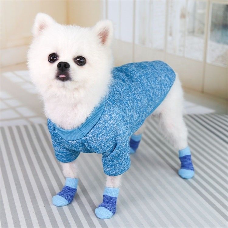 Blijf modieus en comfortabel met deze roze/blauwe hondensokken winterseizoen must-have